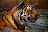 Tiger-Kopf