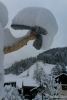 2EquiLIBRE-Vogel-Winter