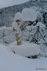 3EquiLIBRE-Winter