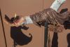 Hand-m-profil-IMG_3578