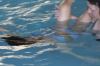 ADschuleIMG_0148